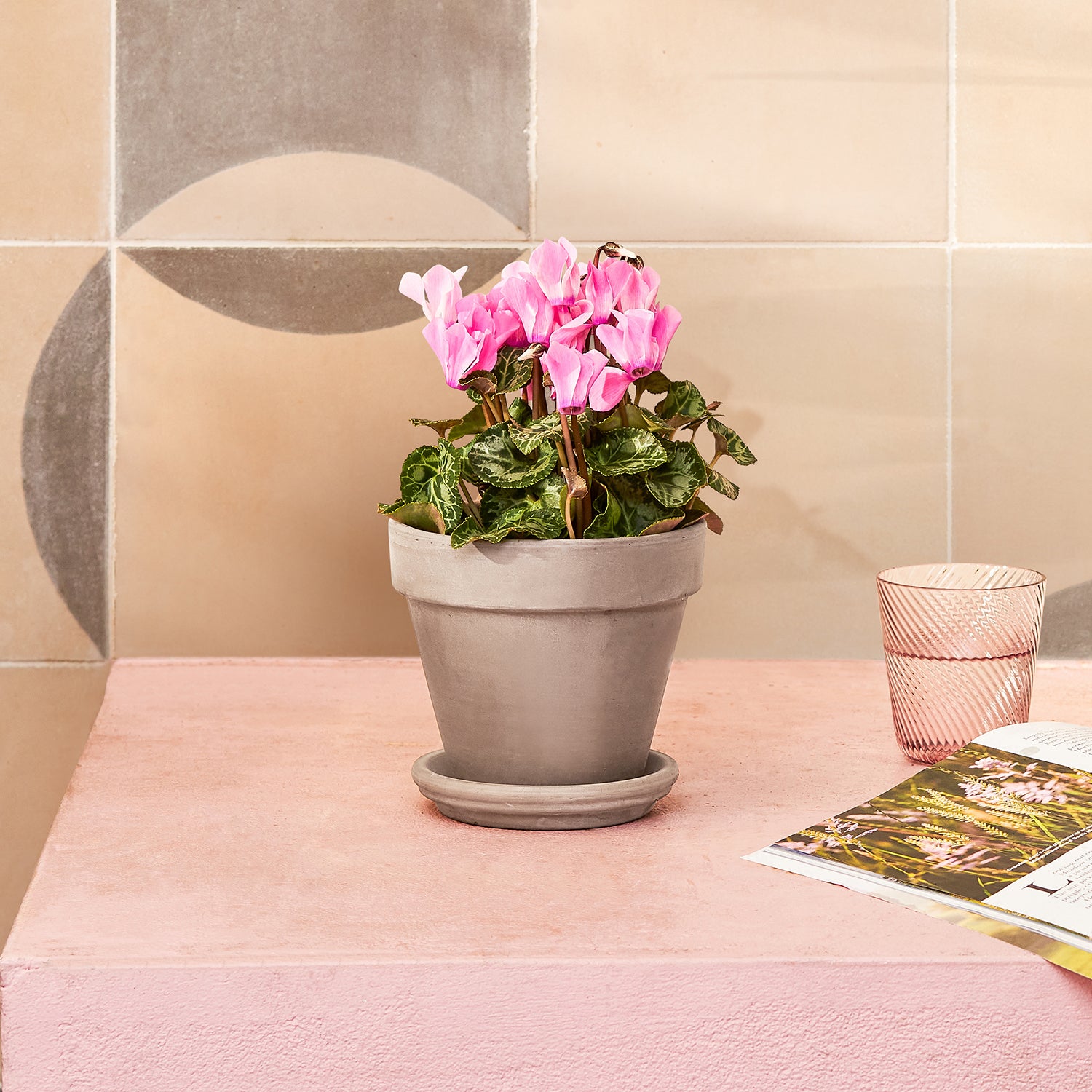 vinnie
