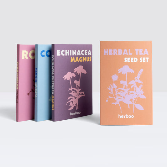 Herboo herbal brew seed set | Patch Plants