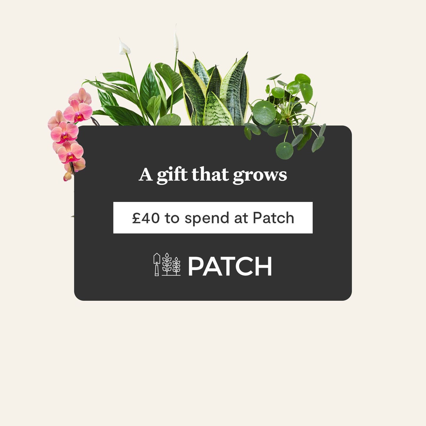 E-gift card