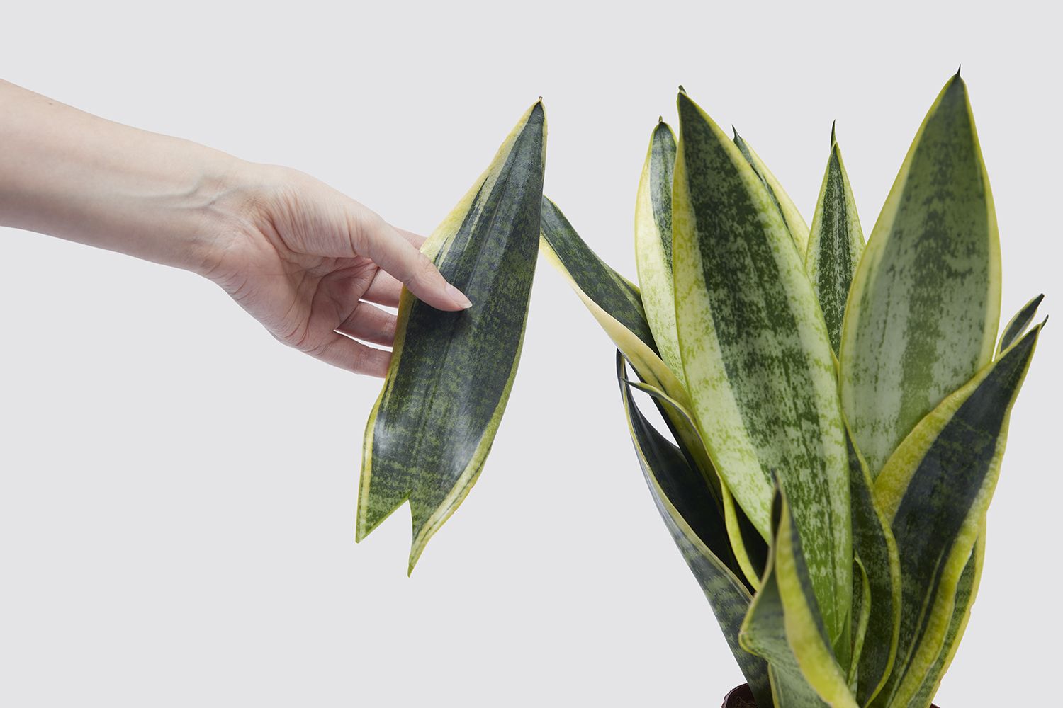 Propagation set