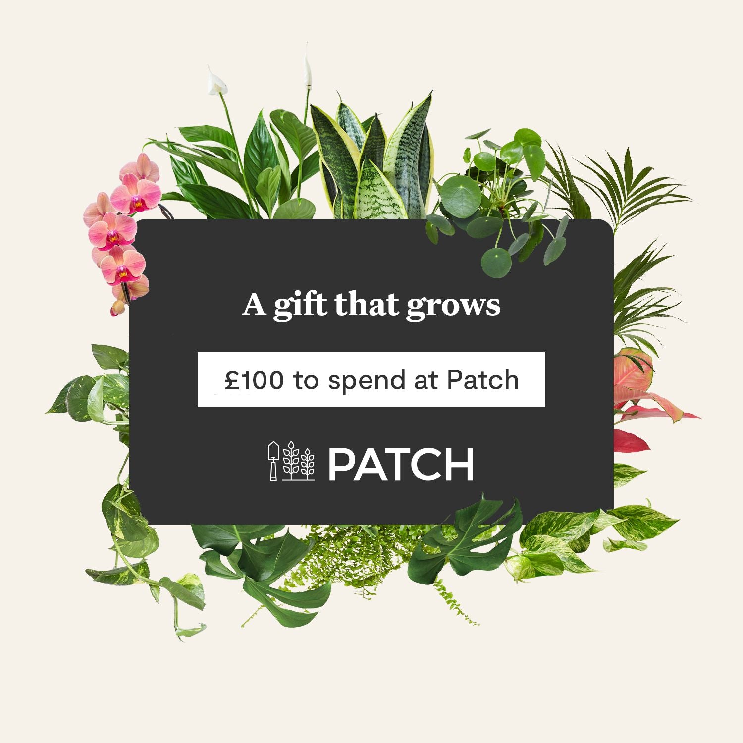 Patch