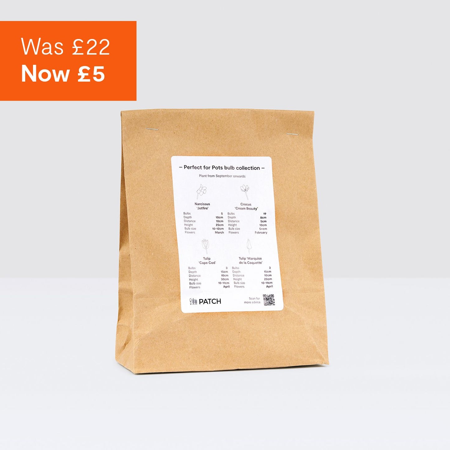 Perfect for Pots spring bulbs