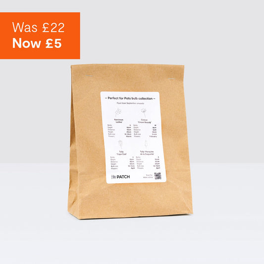 Perfect for Pots spring bulbs