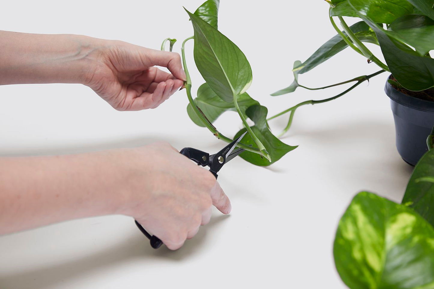 Propagation set