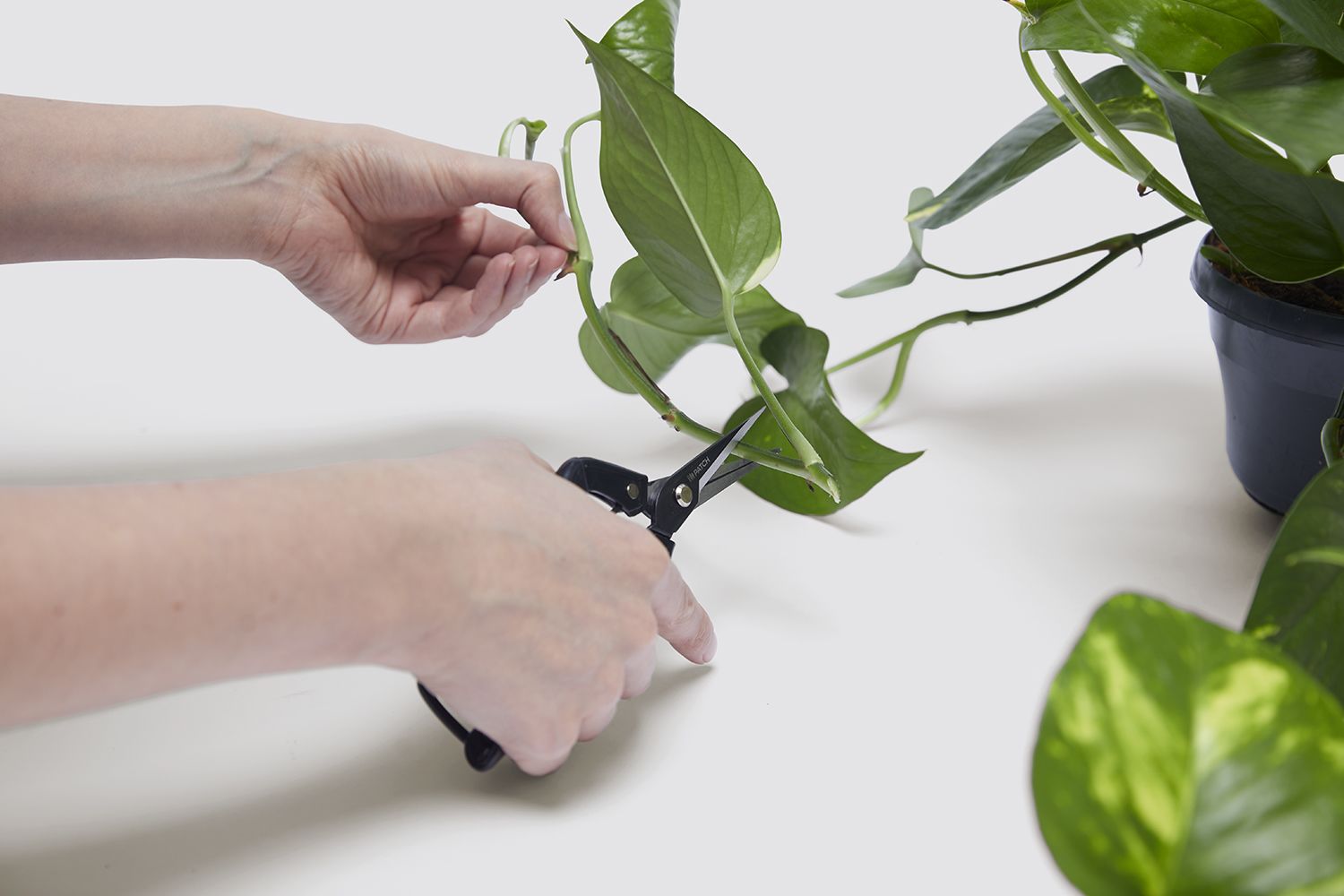 Propagation set