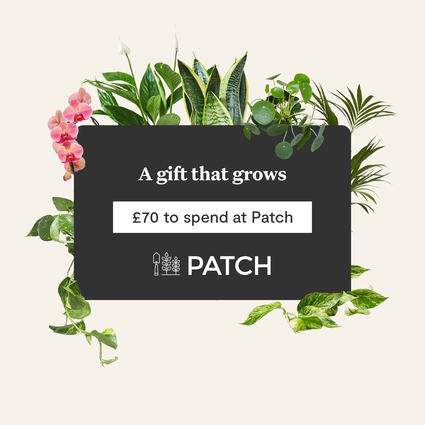 E-gift card