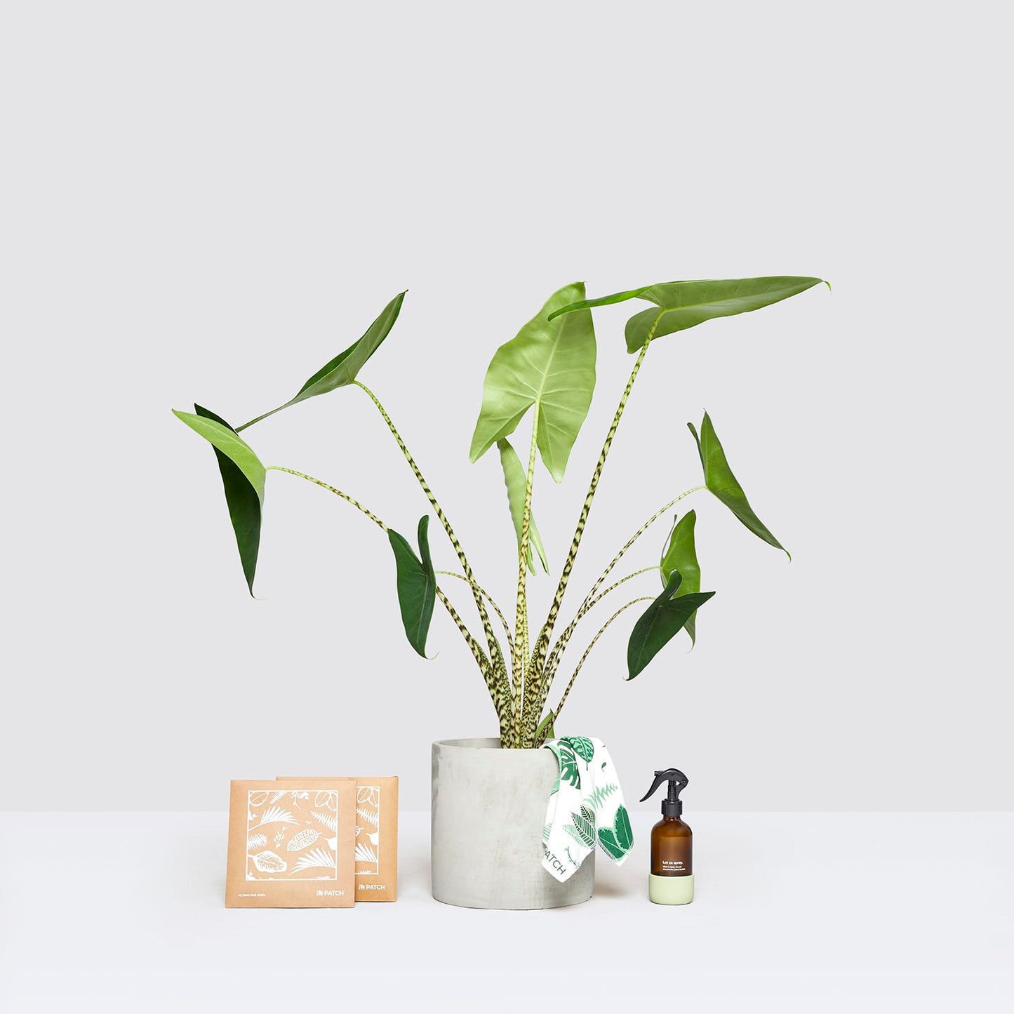 Zabrina, pot, mister & dust cloths