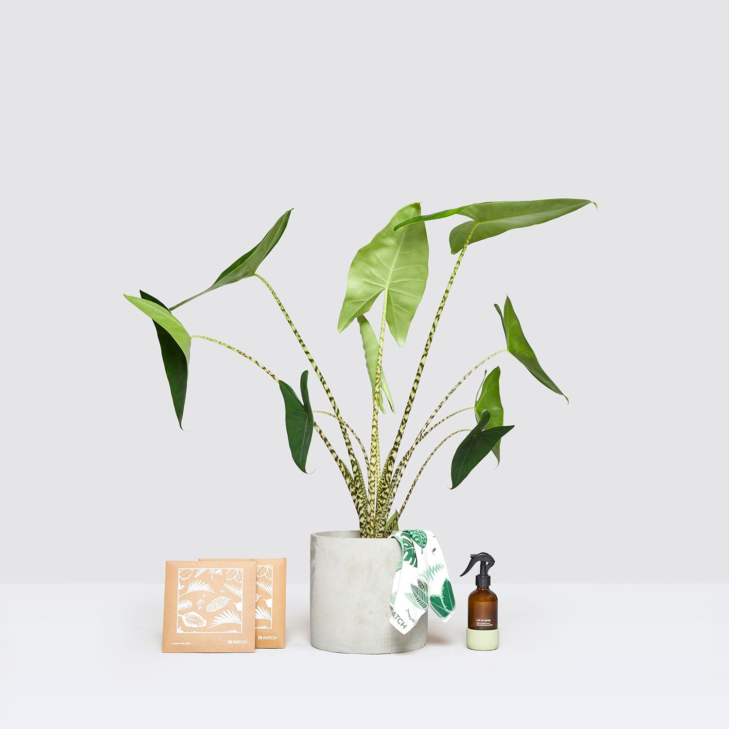 Zabrina, pot, mister & dust cloths