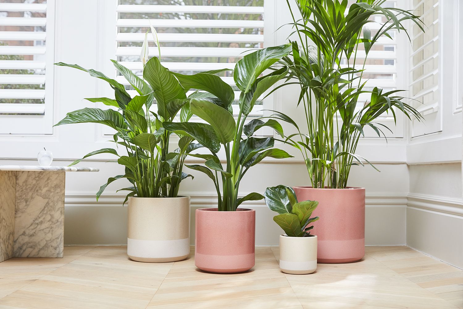 Dipped pot