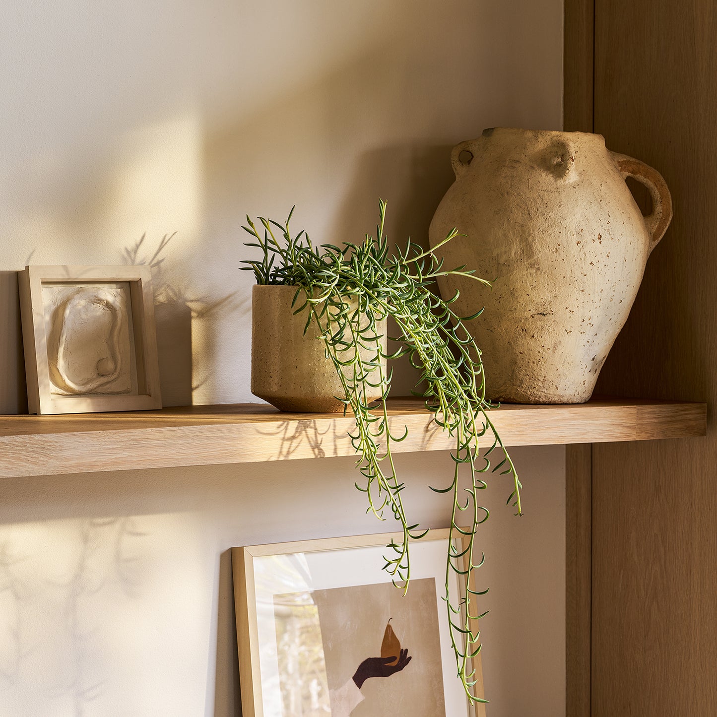 String of Fish Hooks | Patch Plants