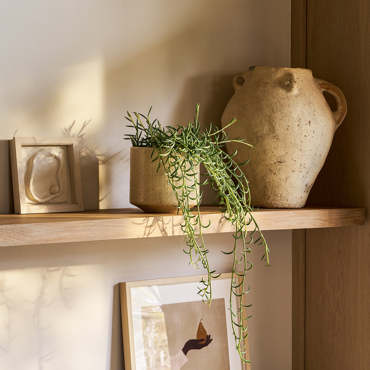 String of Fish Hooks | Patch Plants