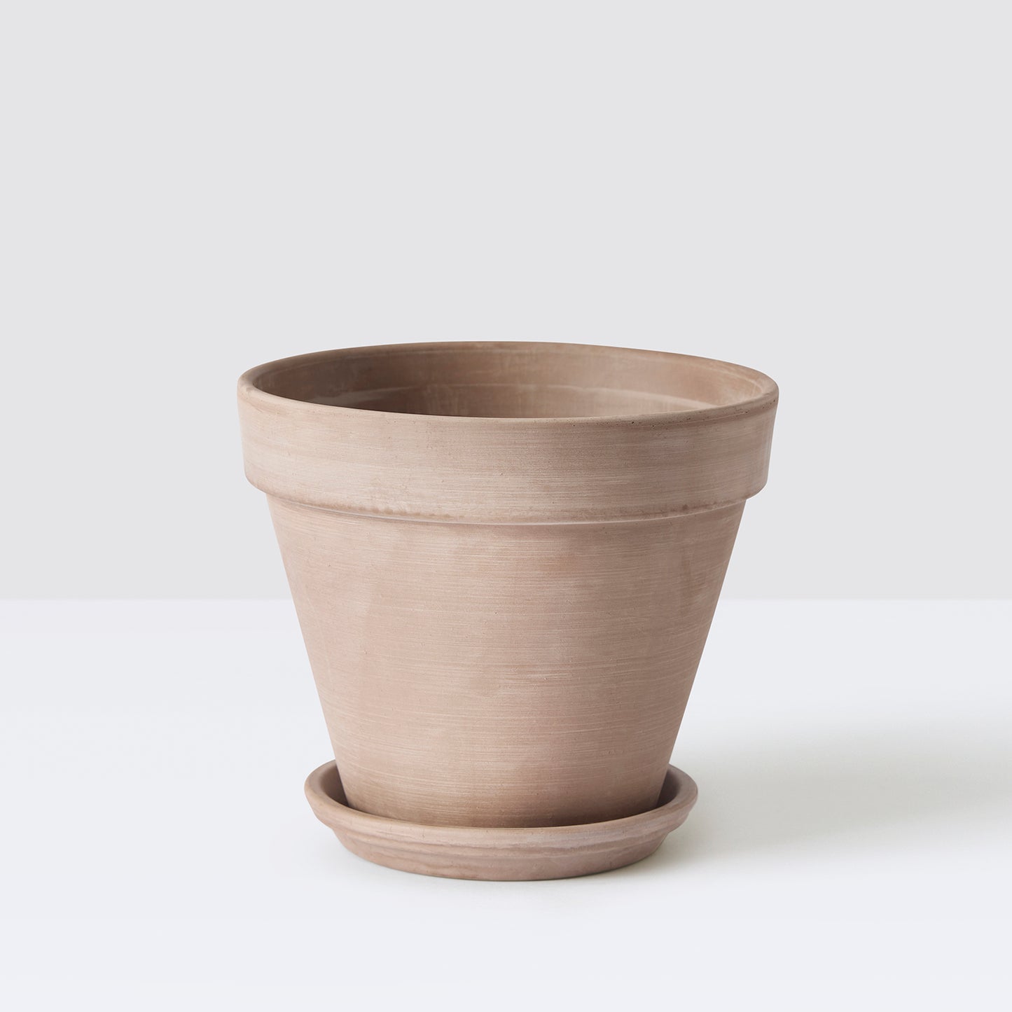Terracotta pot with saucer | Patch Plants 