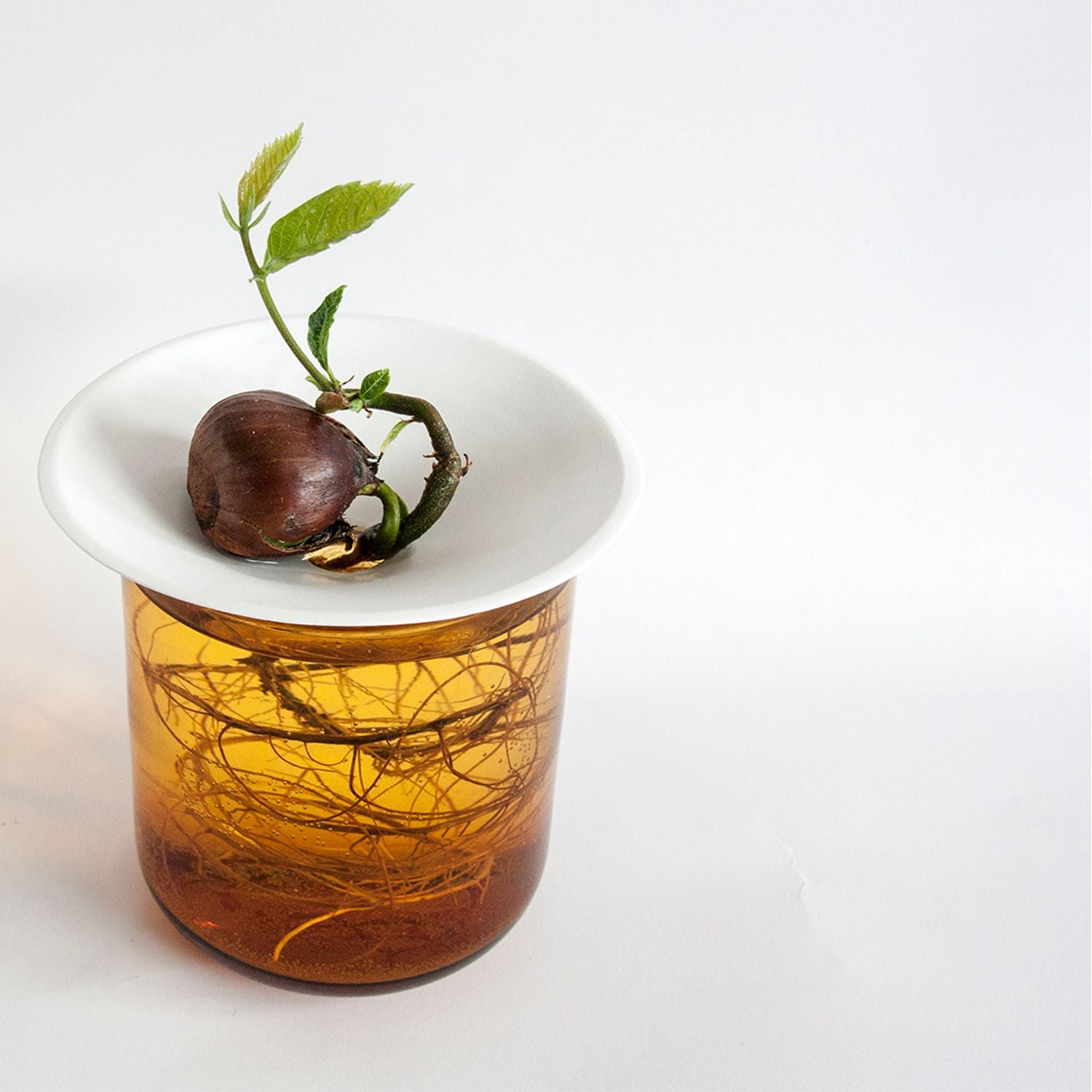 Propagation plate