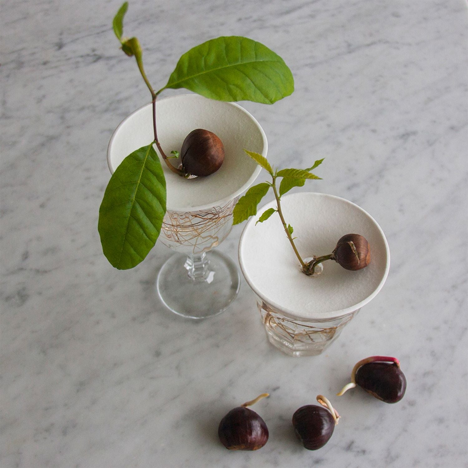 Propagation plate