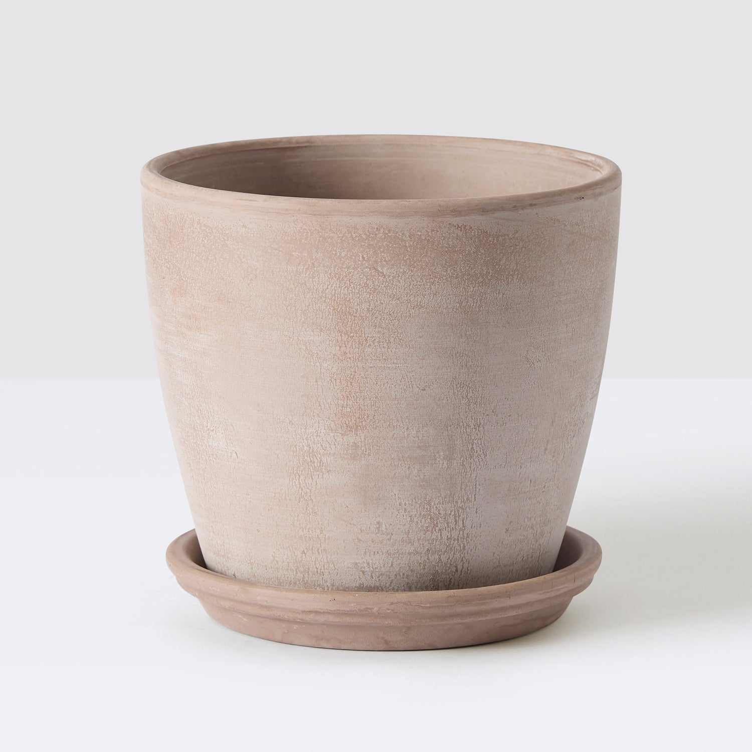 Terracota egg pot and saucer | Patch 