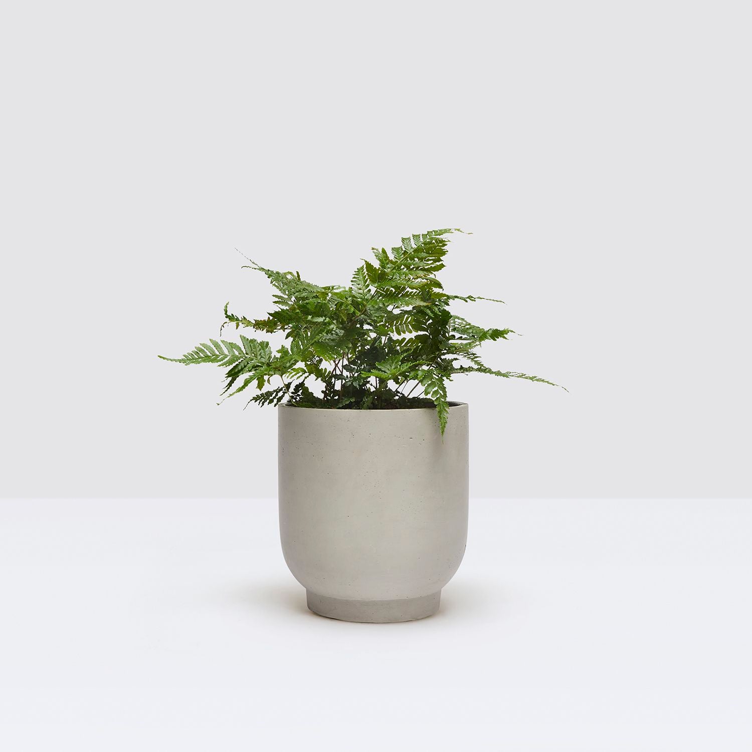Concrete ridge pot