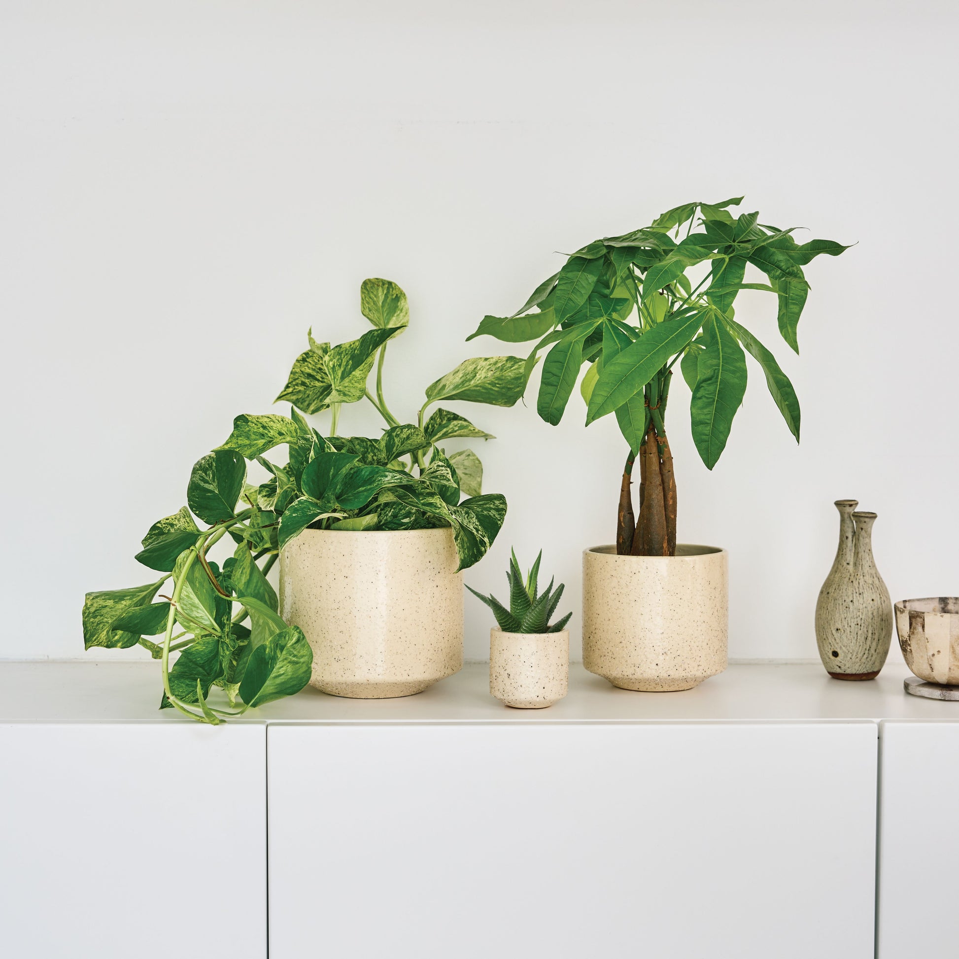 Speckled pot