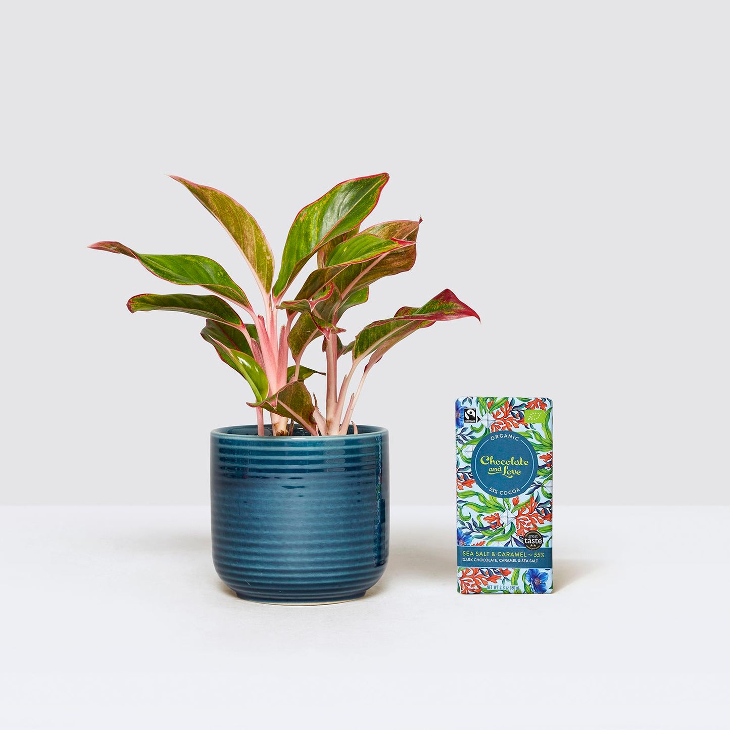 Aggie, pot & chocolate