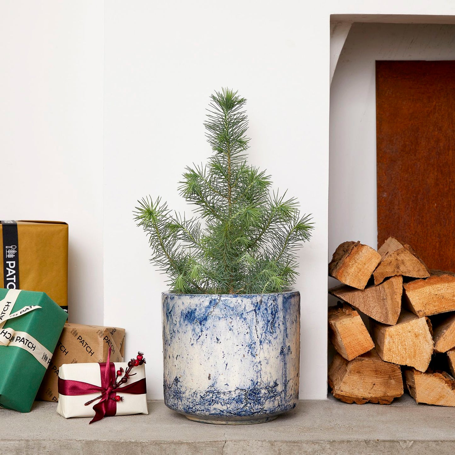 Mini Christmas tree