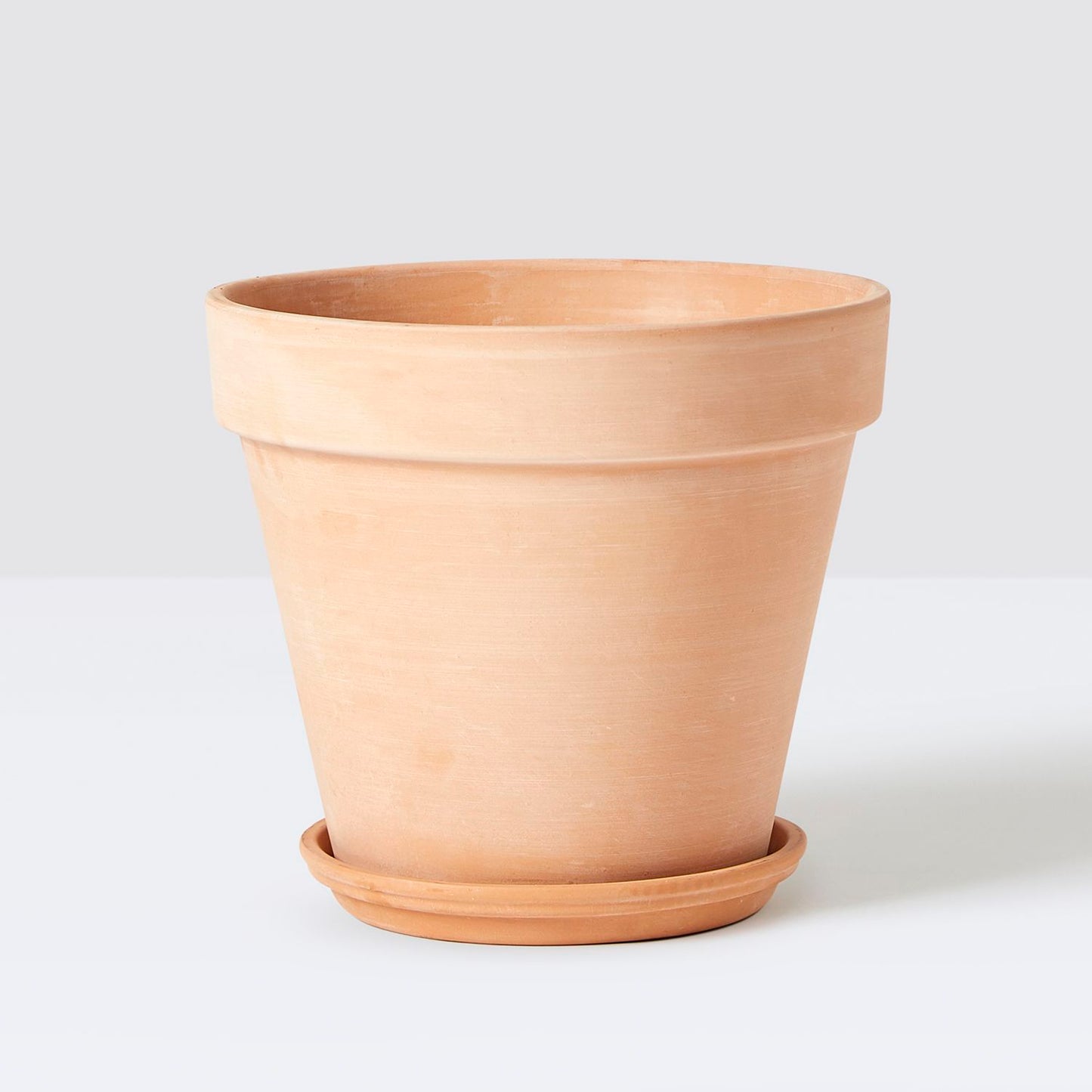 [Replacement] Terracotta Saucer (Standard Pot)