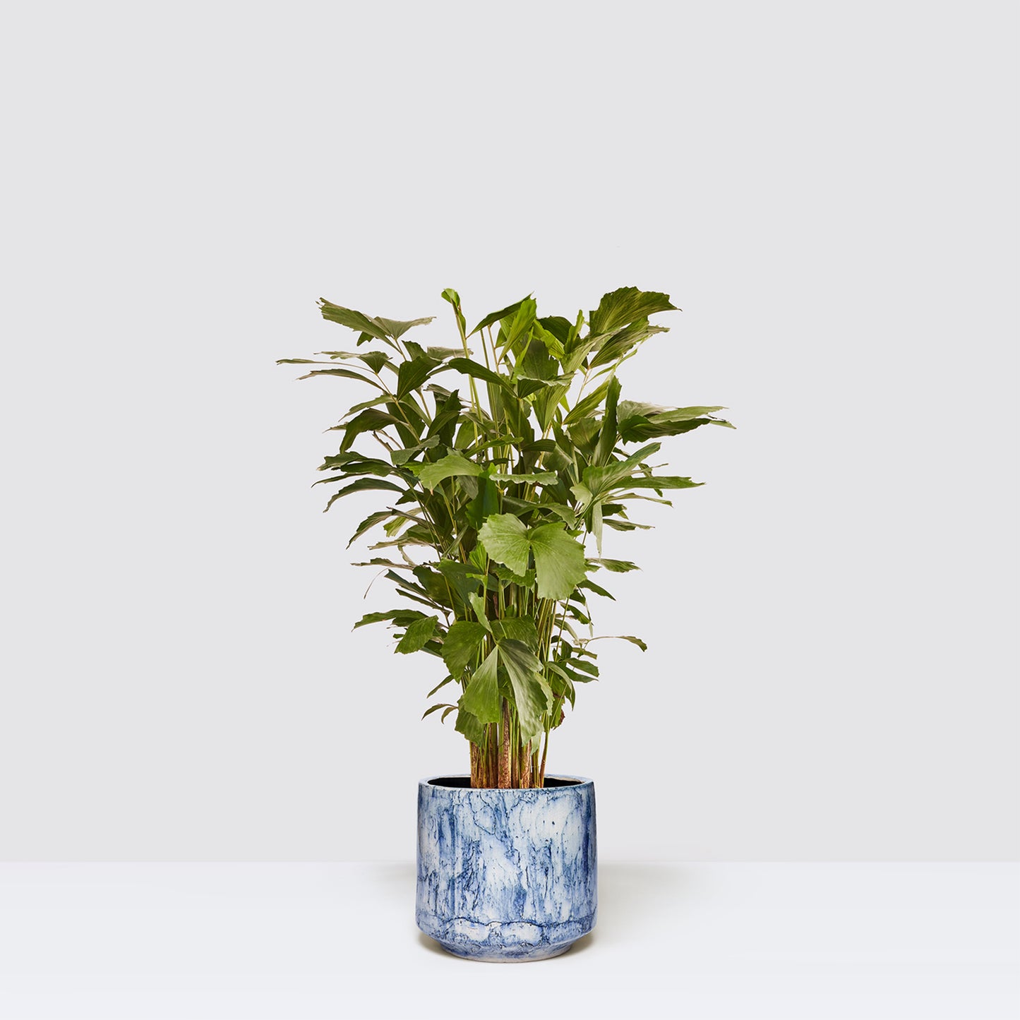 [Selfridges] Dorothy 100-110, Fracture blue 30