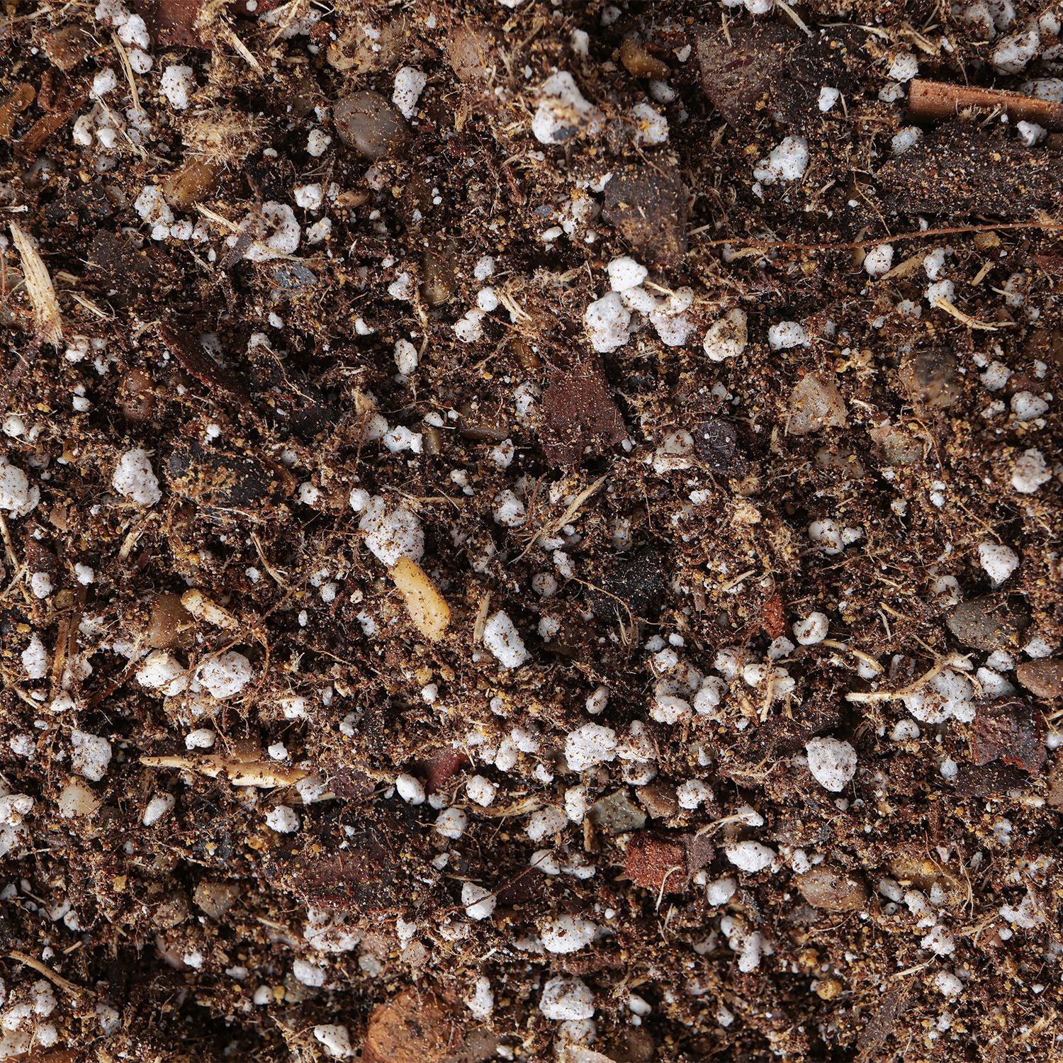 Desert potting mix