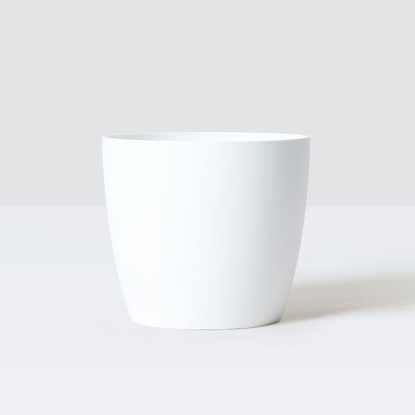 Curved edged pot