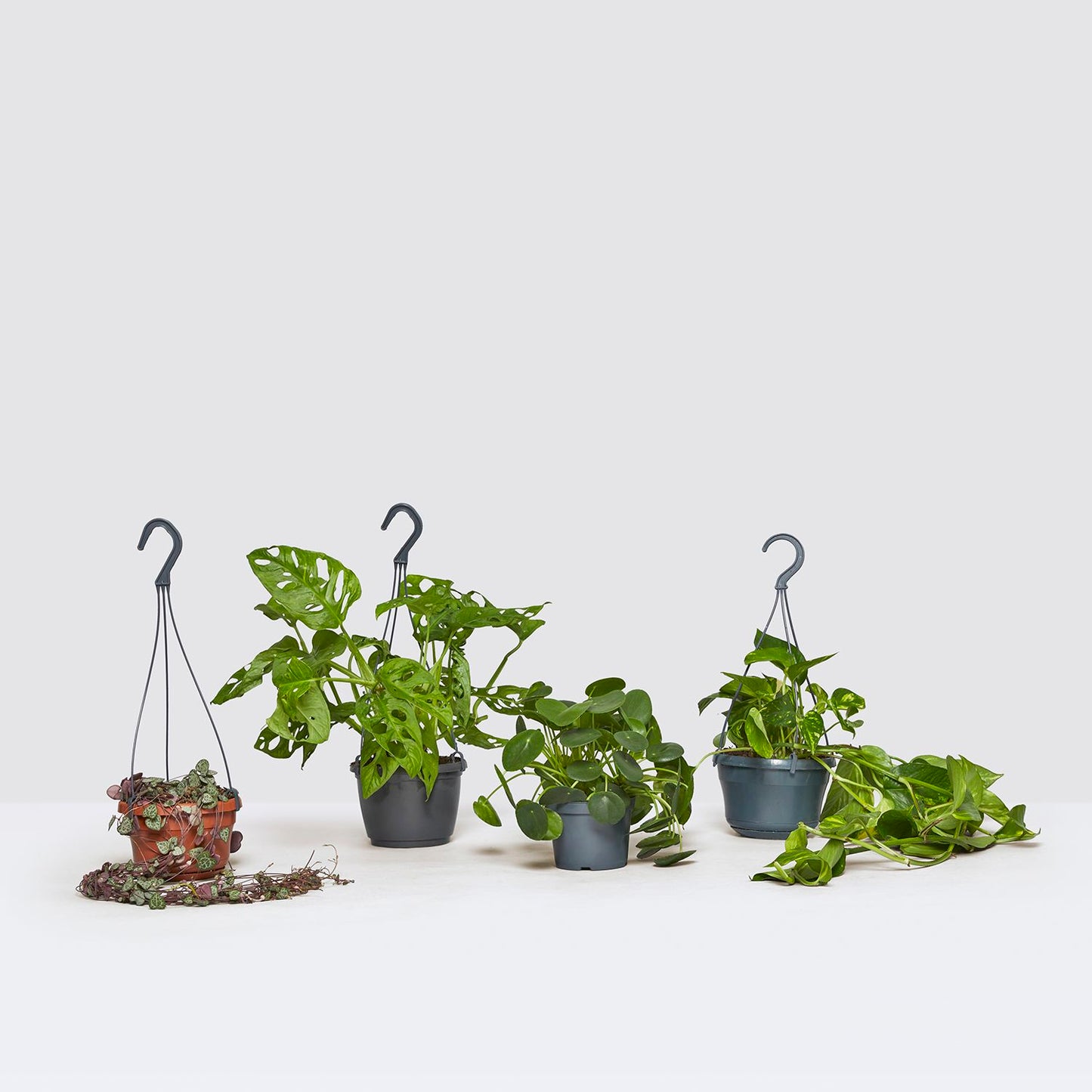 Fast growing set
