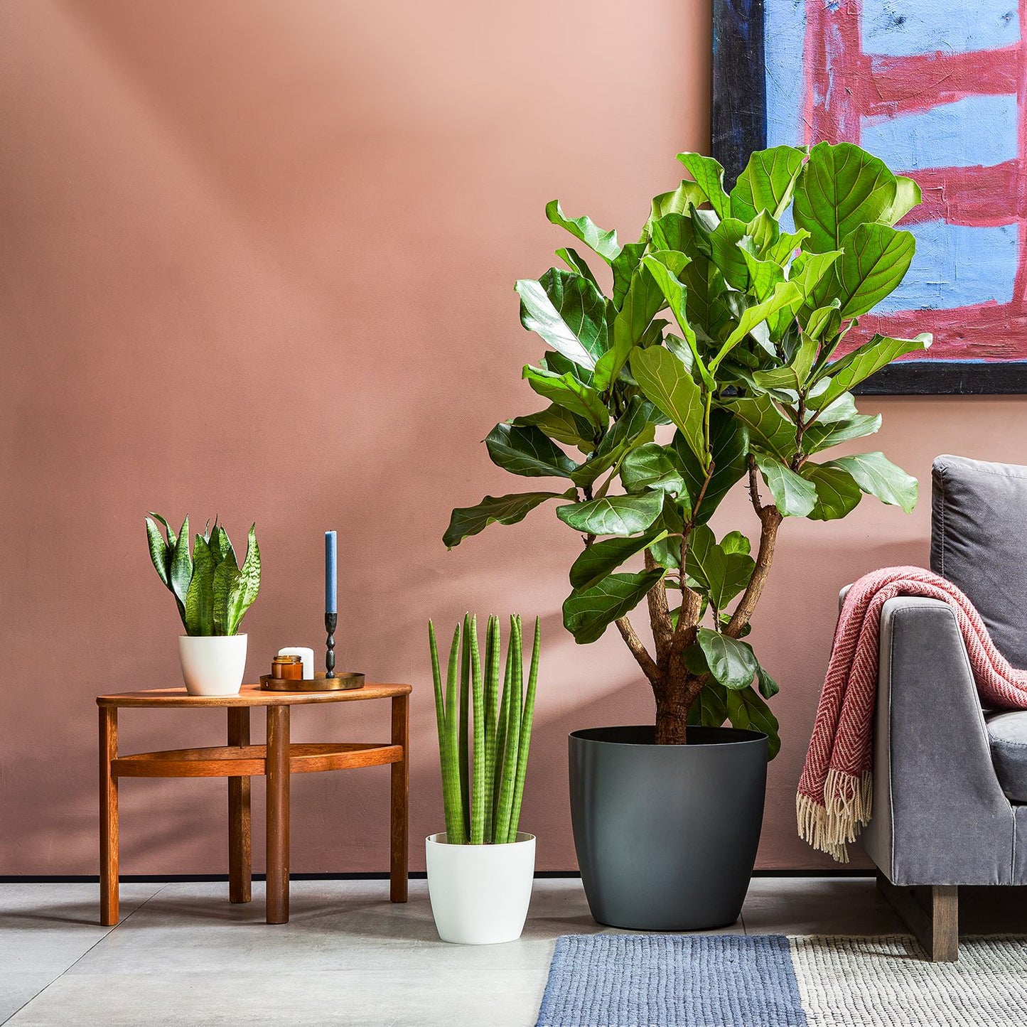 Curved edged pot