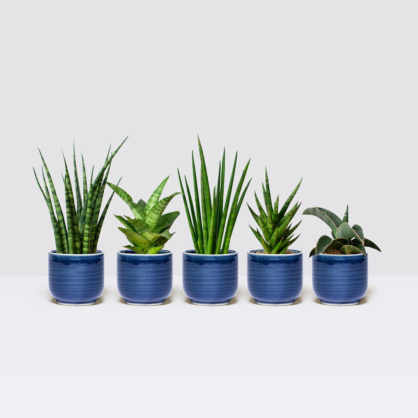 Mini unkillables set