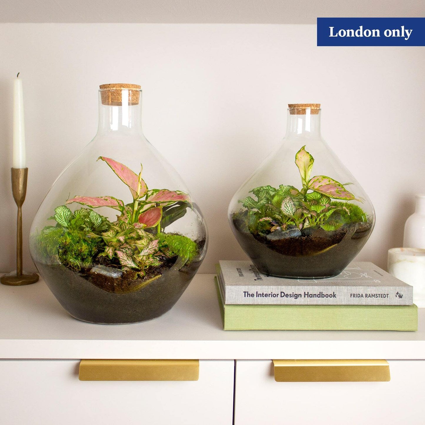 Terrarium - London only