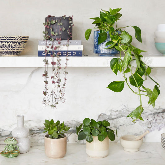 Shelf set