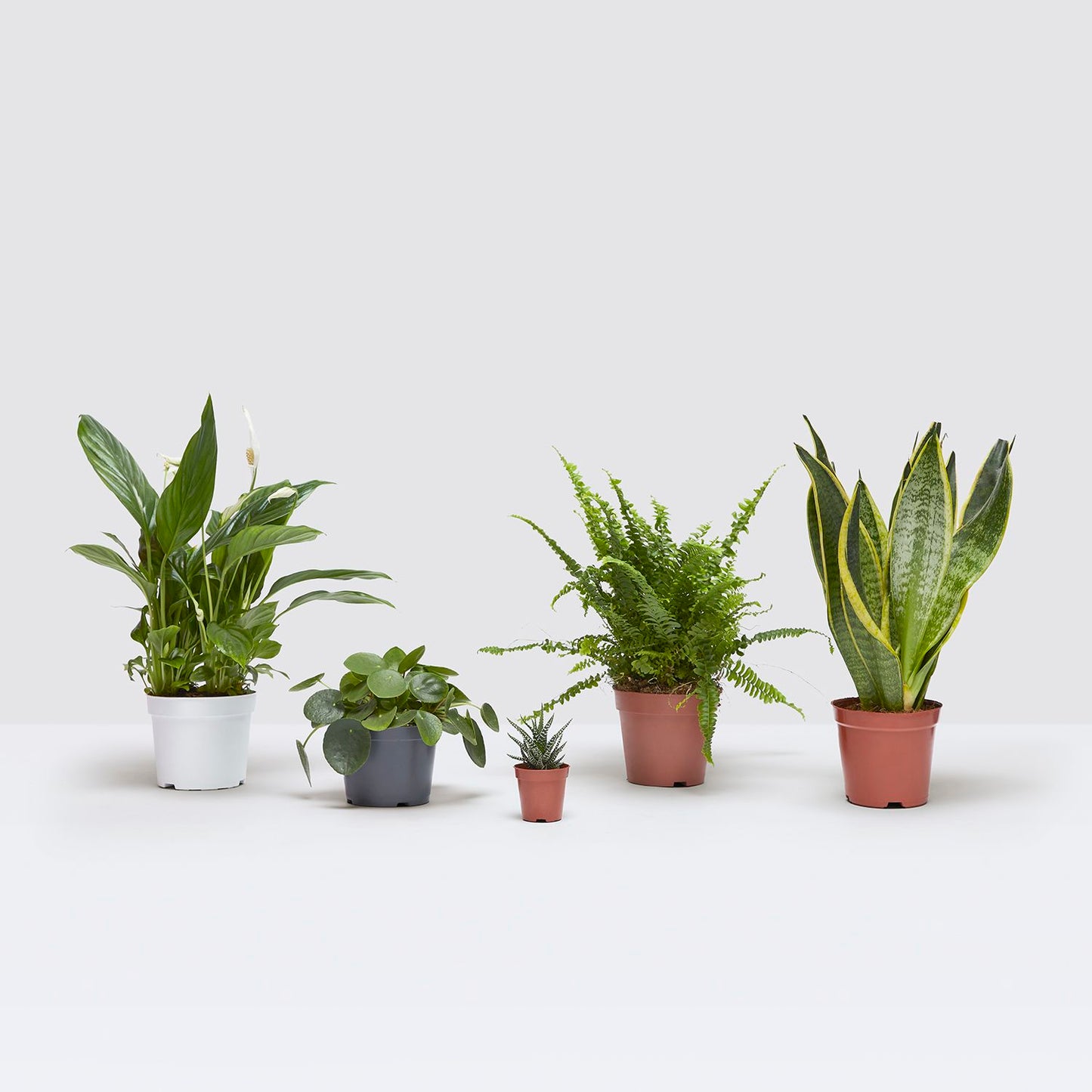Desktop set