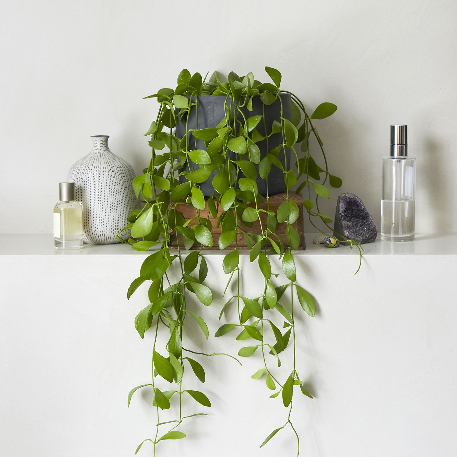 String of nickels