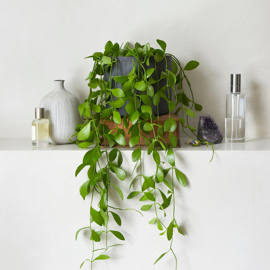 String of nickels
