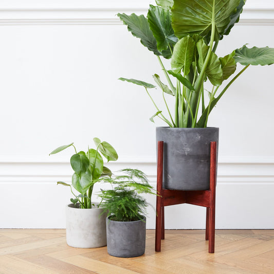 Concrete pot