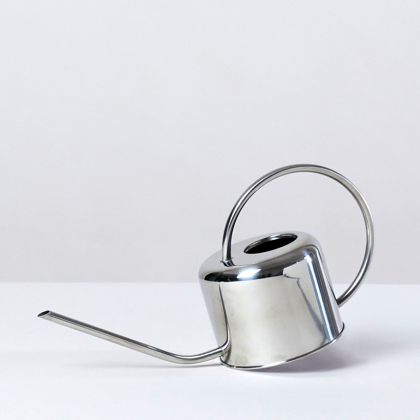Stainless steel watering can