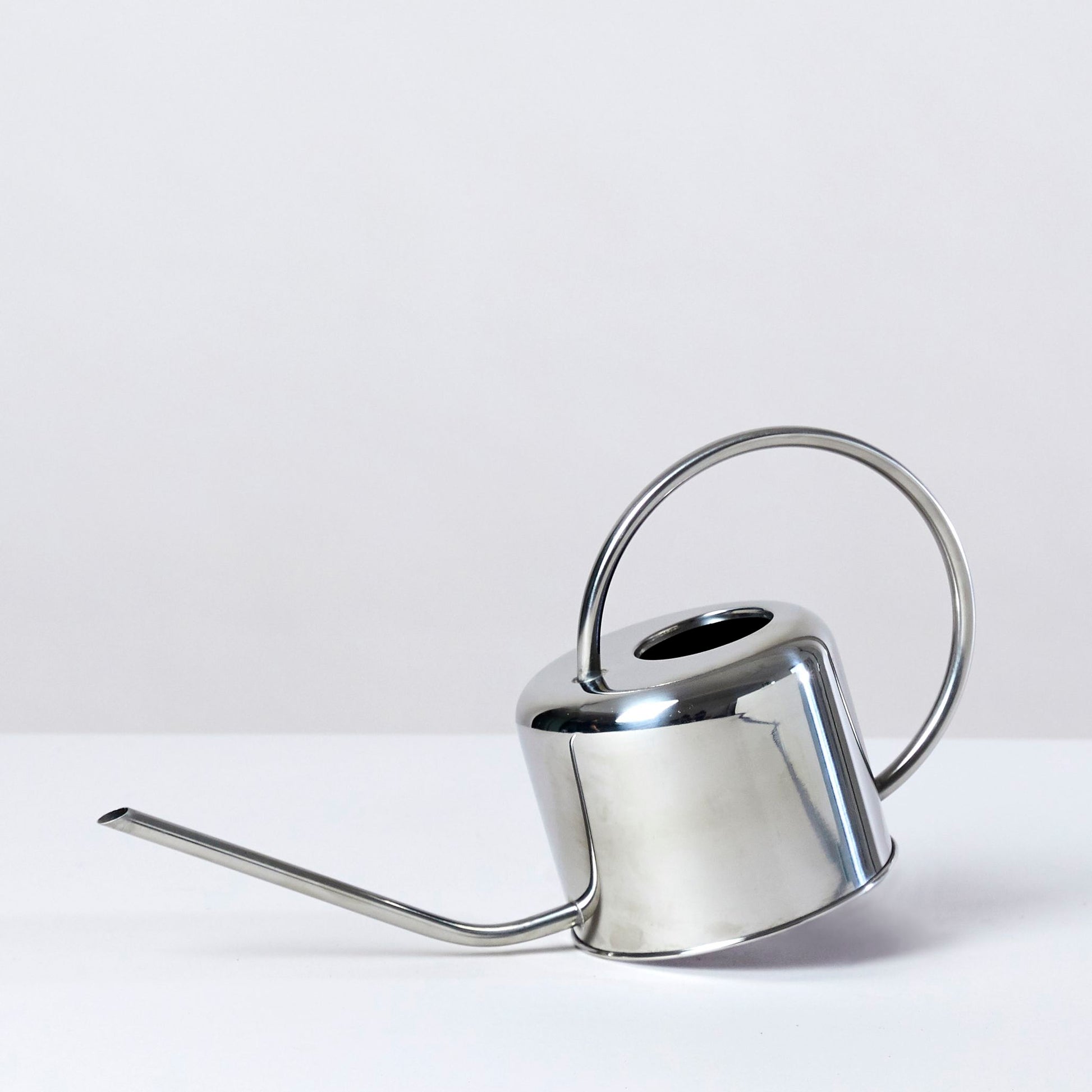 Stainless steel watering can