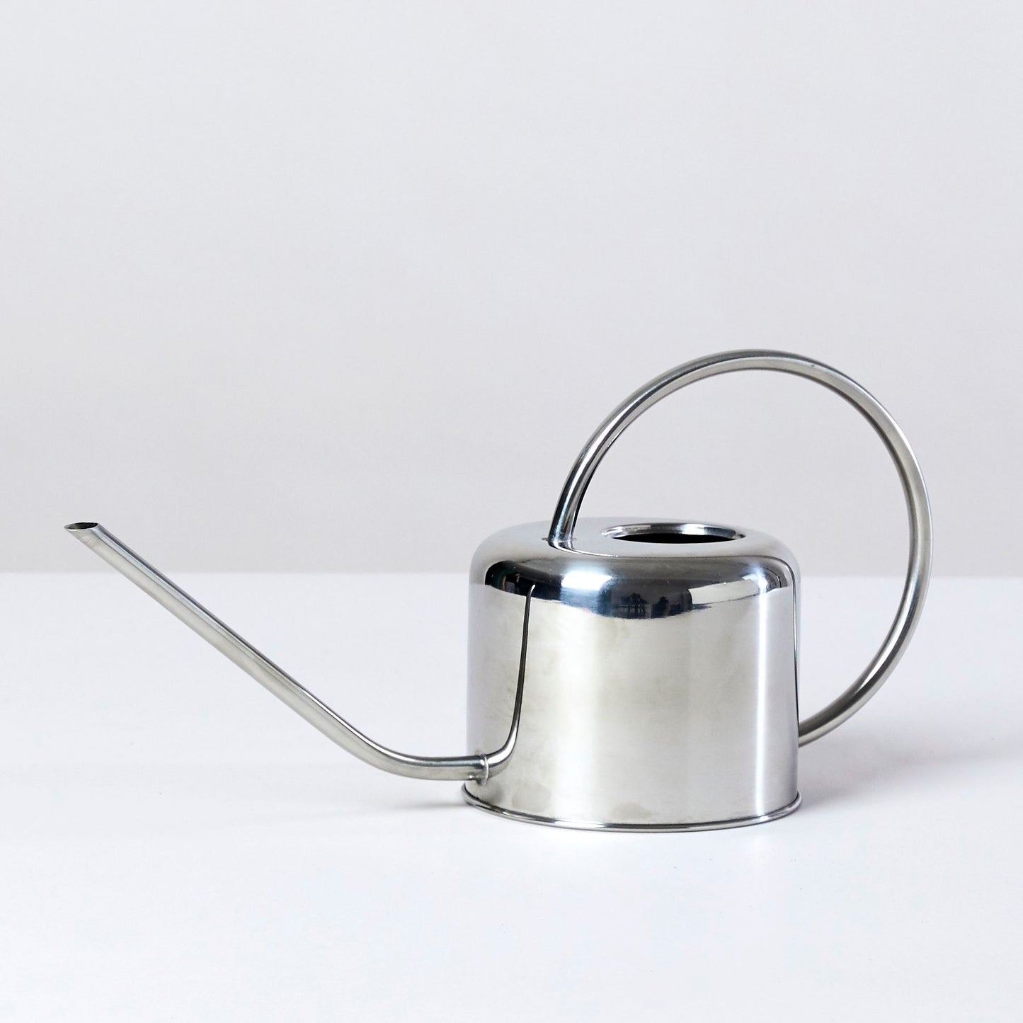 Stainless steel watering can