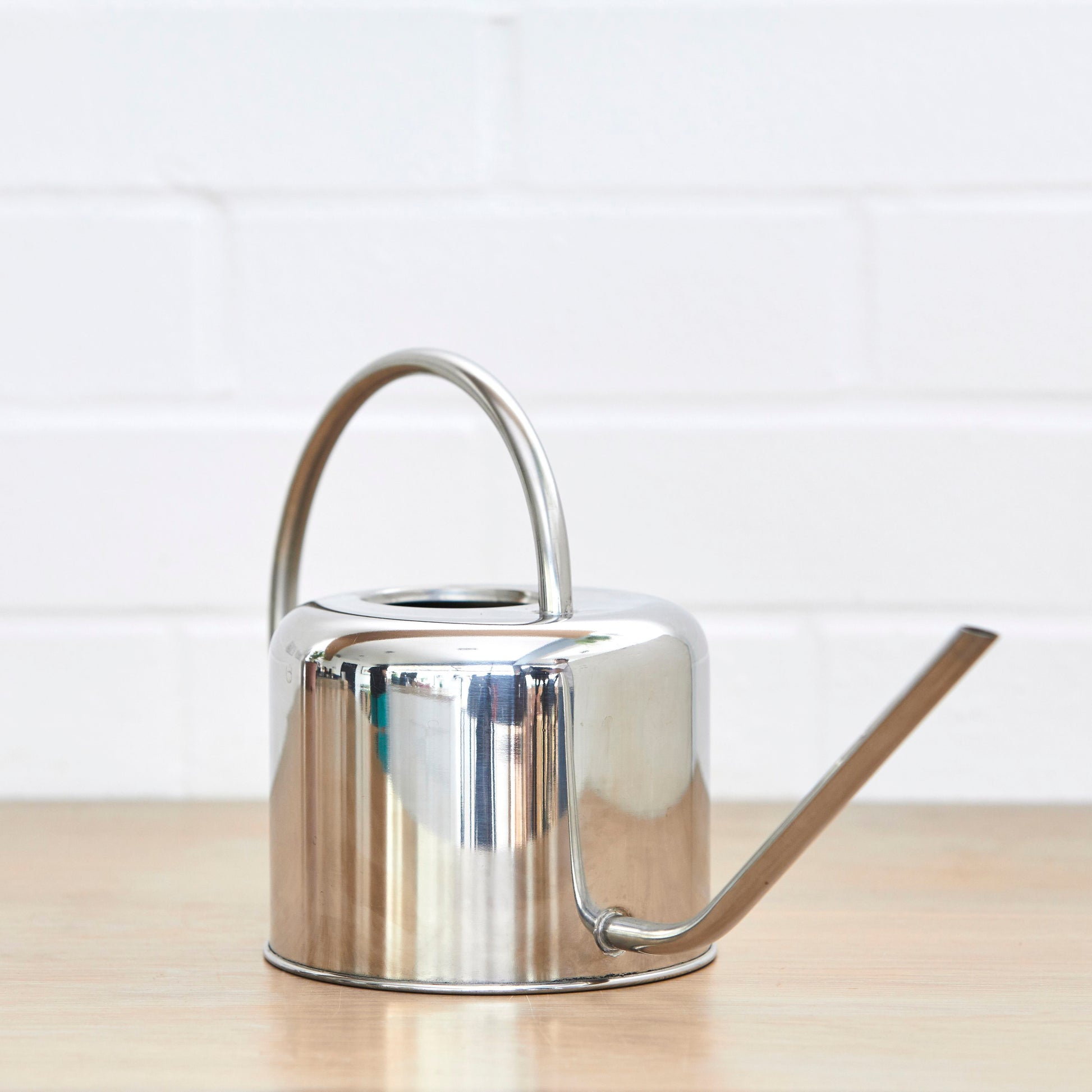 Stainless steel watering can