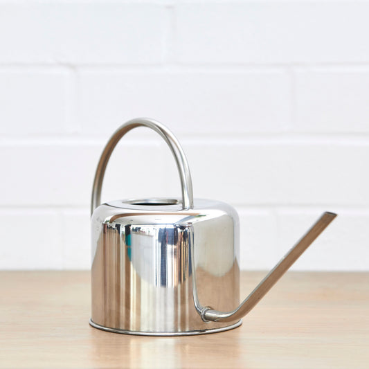 Stainless steel watering can