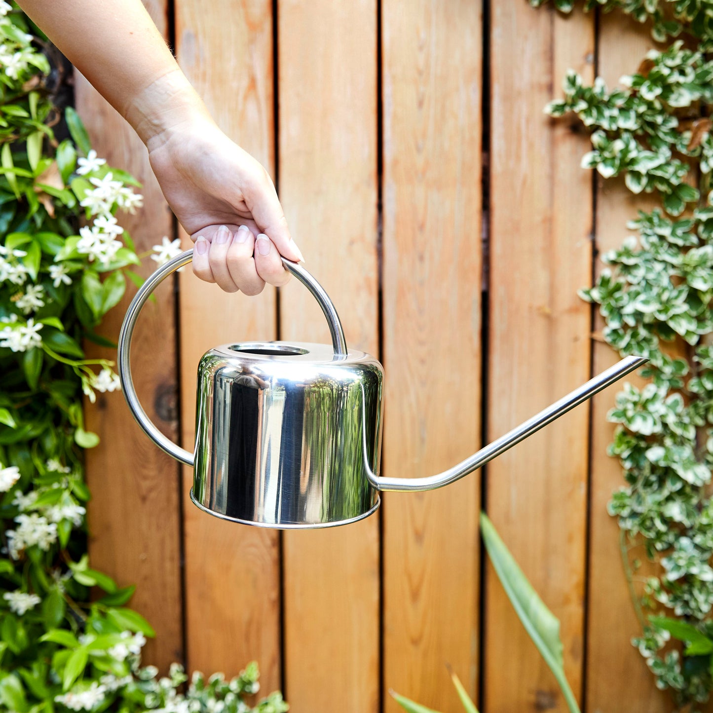 Stainless steel watering can