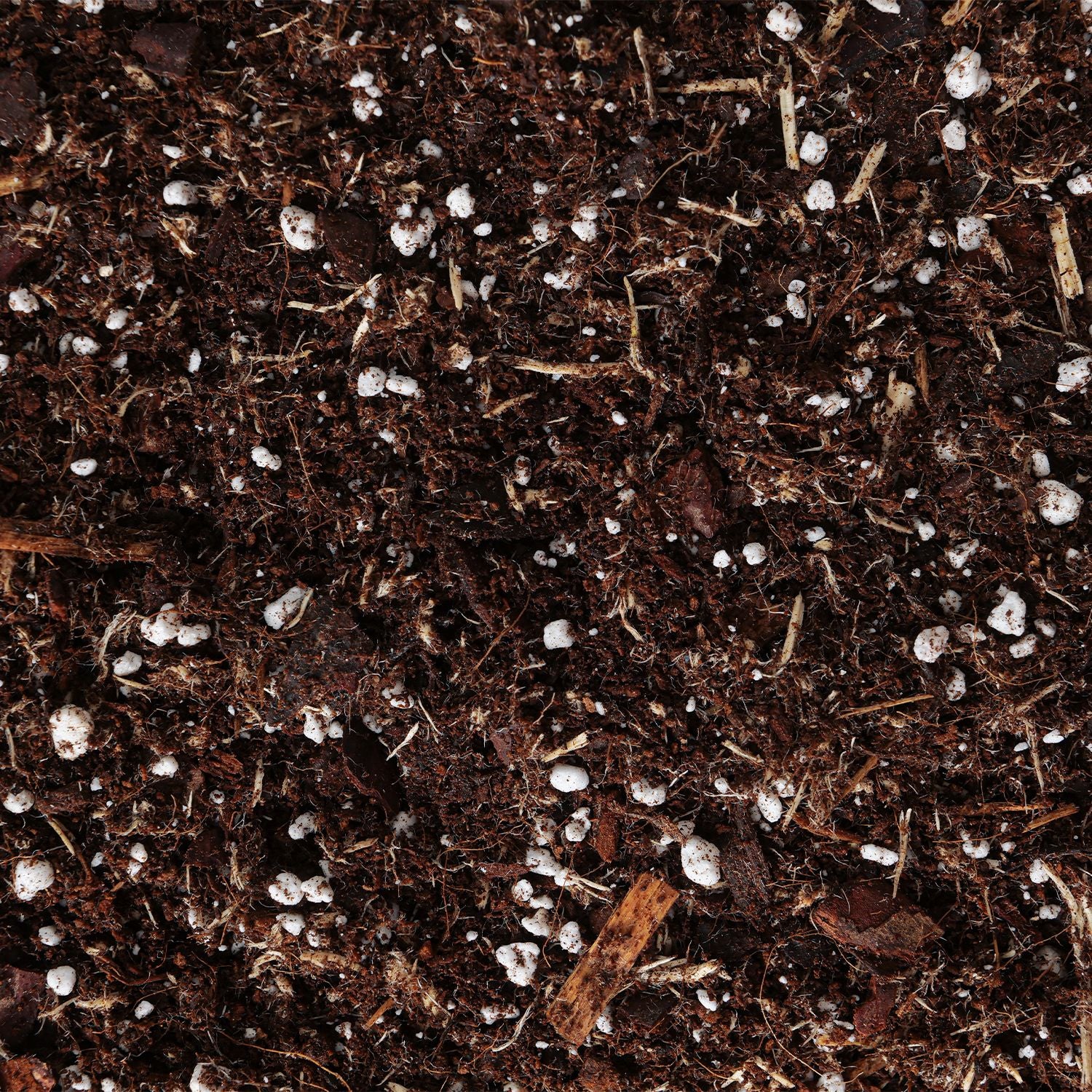Jungle potting mix