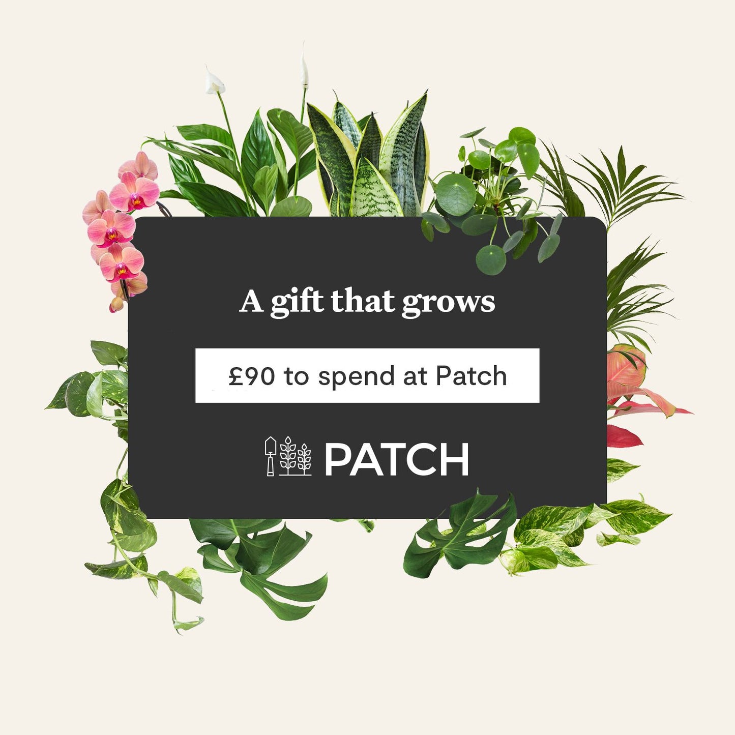 E-gift card