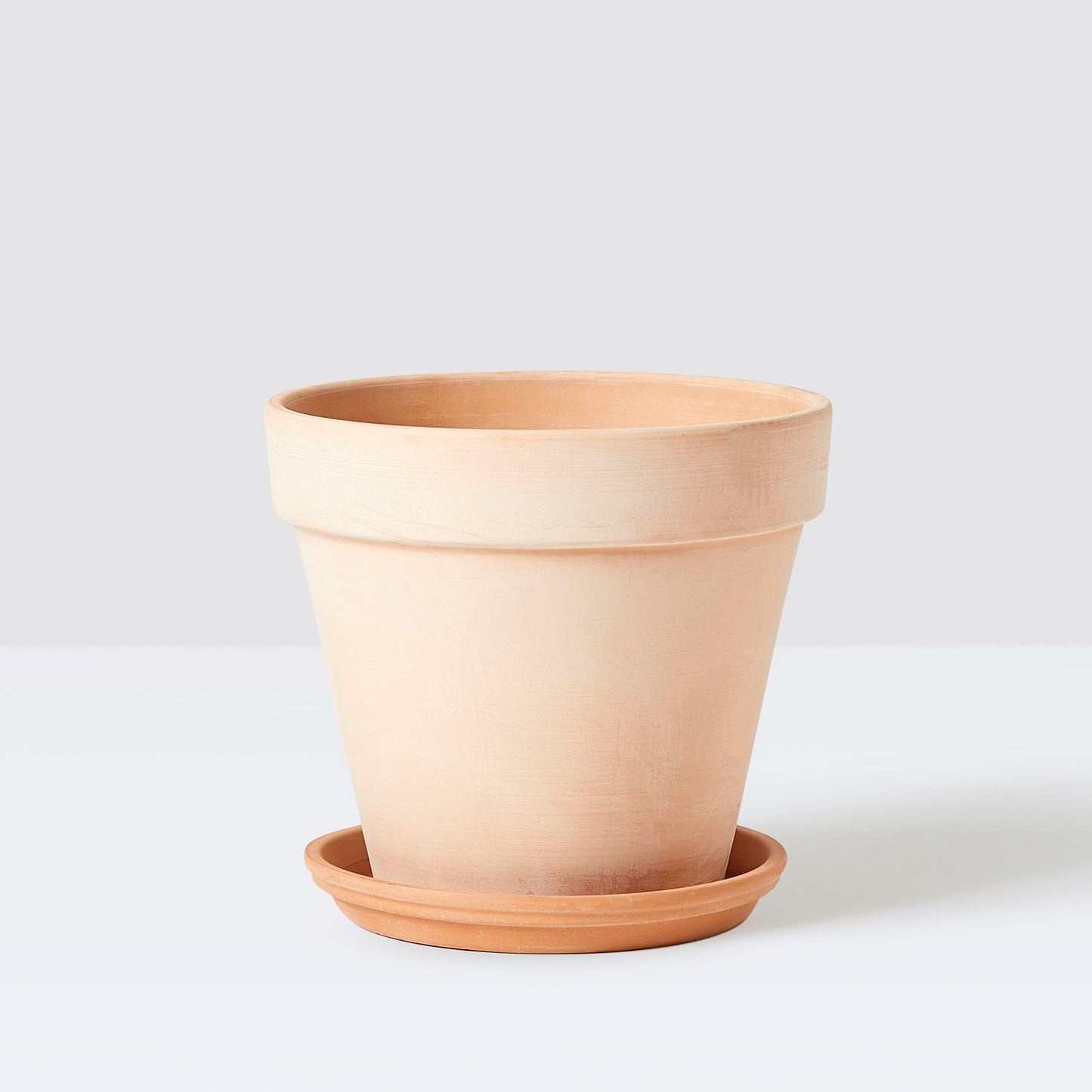 [Replacement] Terracotta Saucer (Standard Pot)