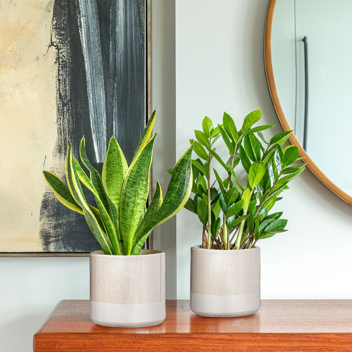 Easy watering set