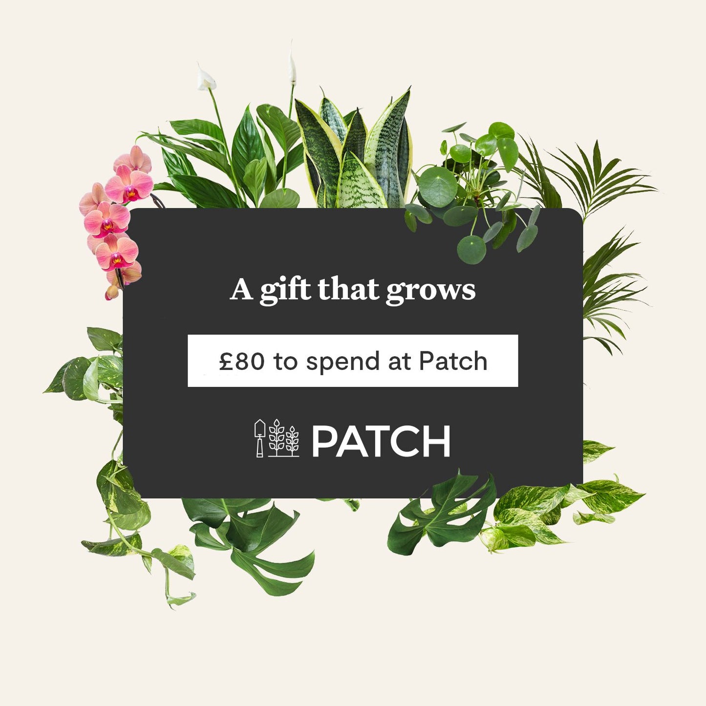 E-gift card