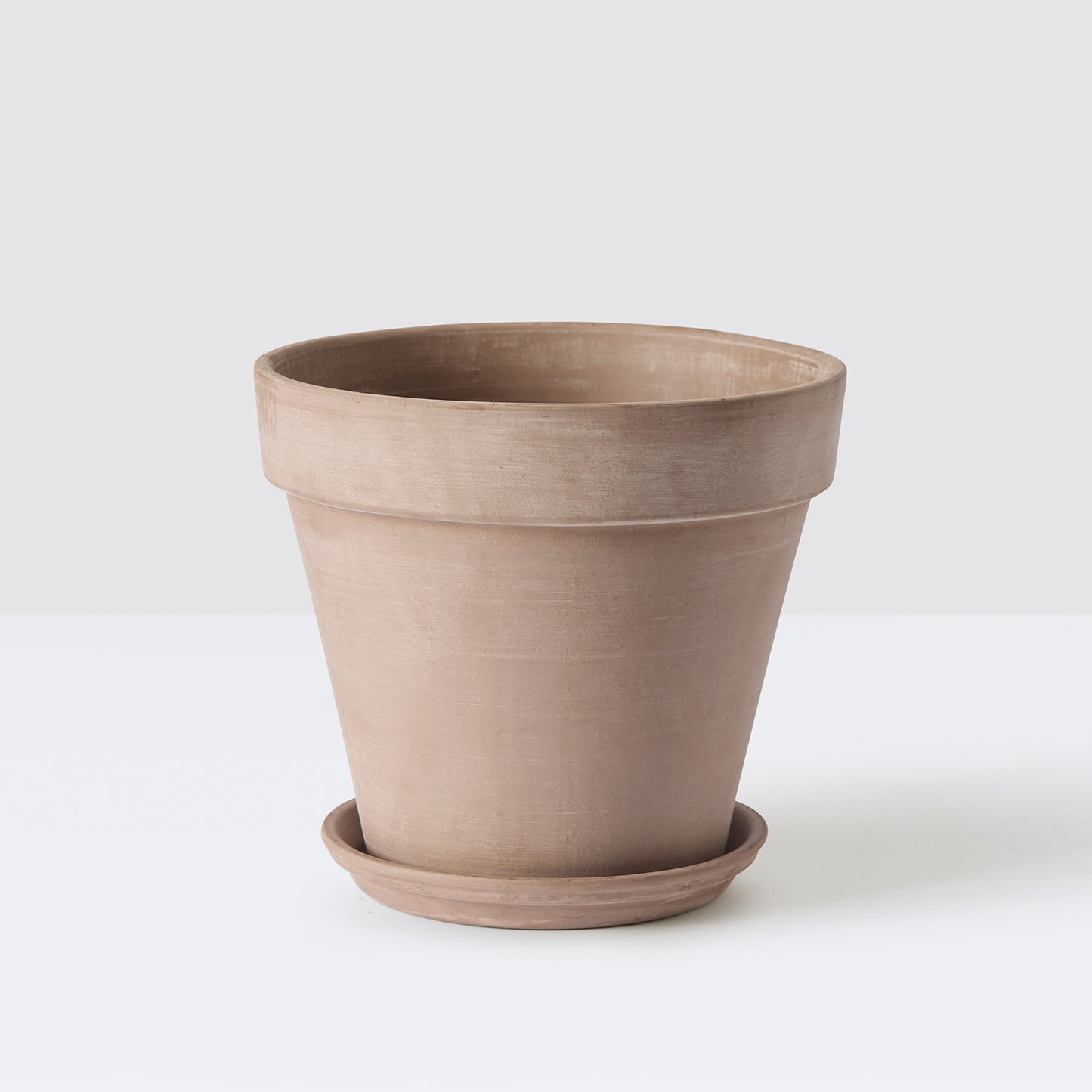 Terracotta pot with saucer | Patch Plants 