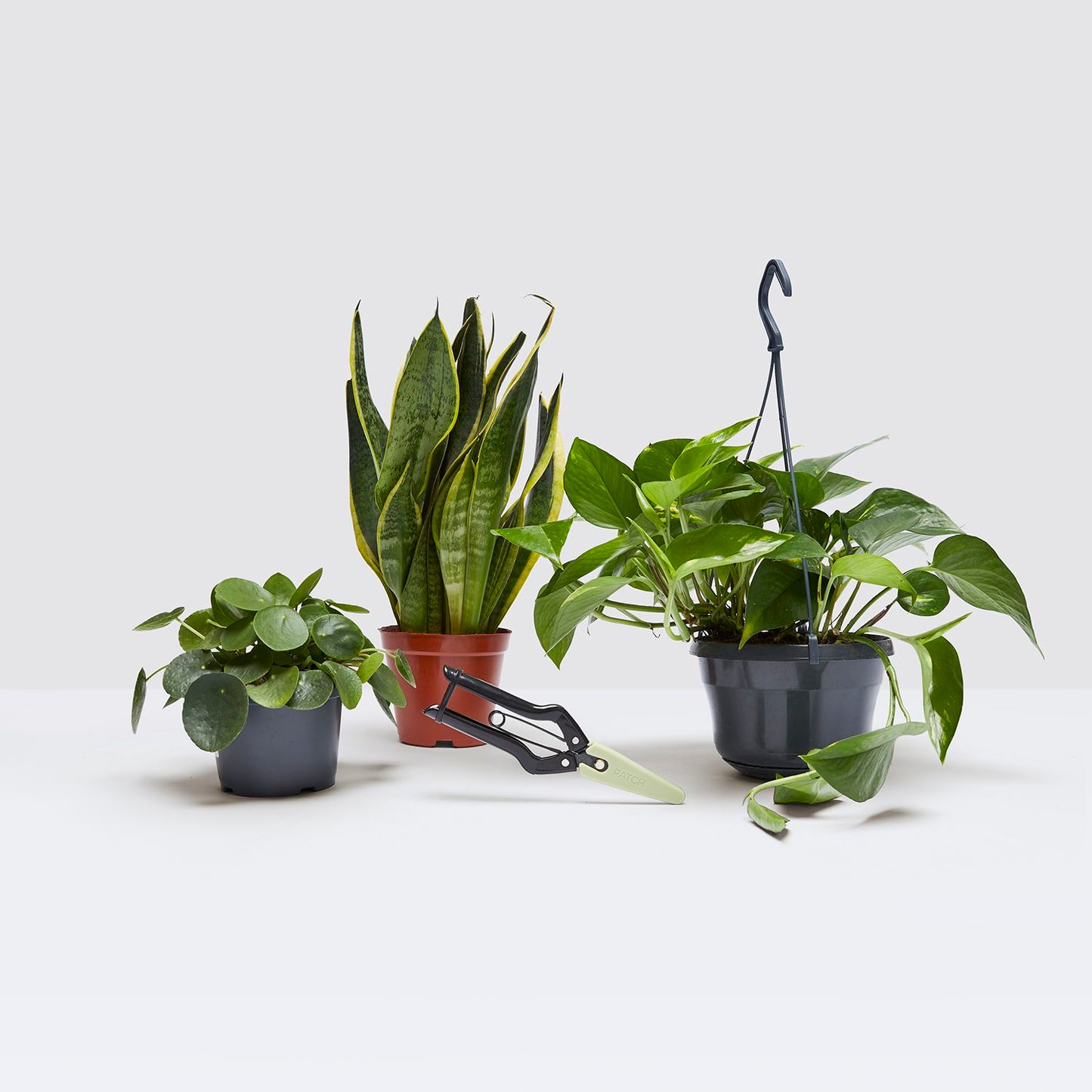 Propagation set
