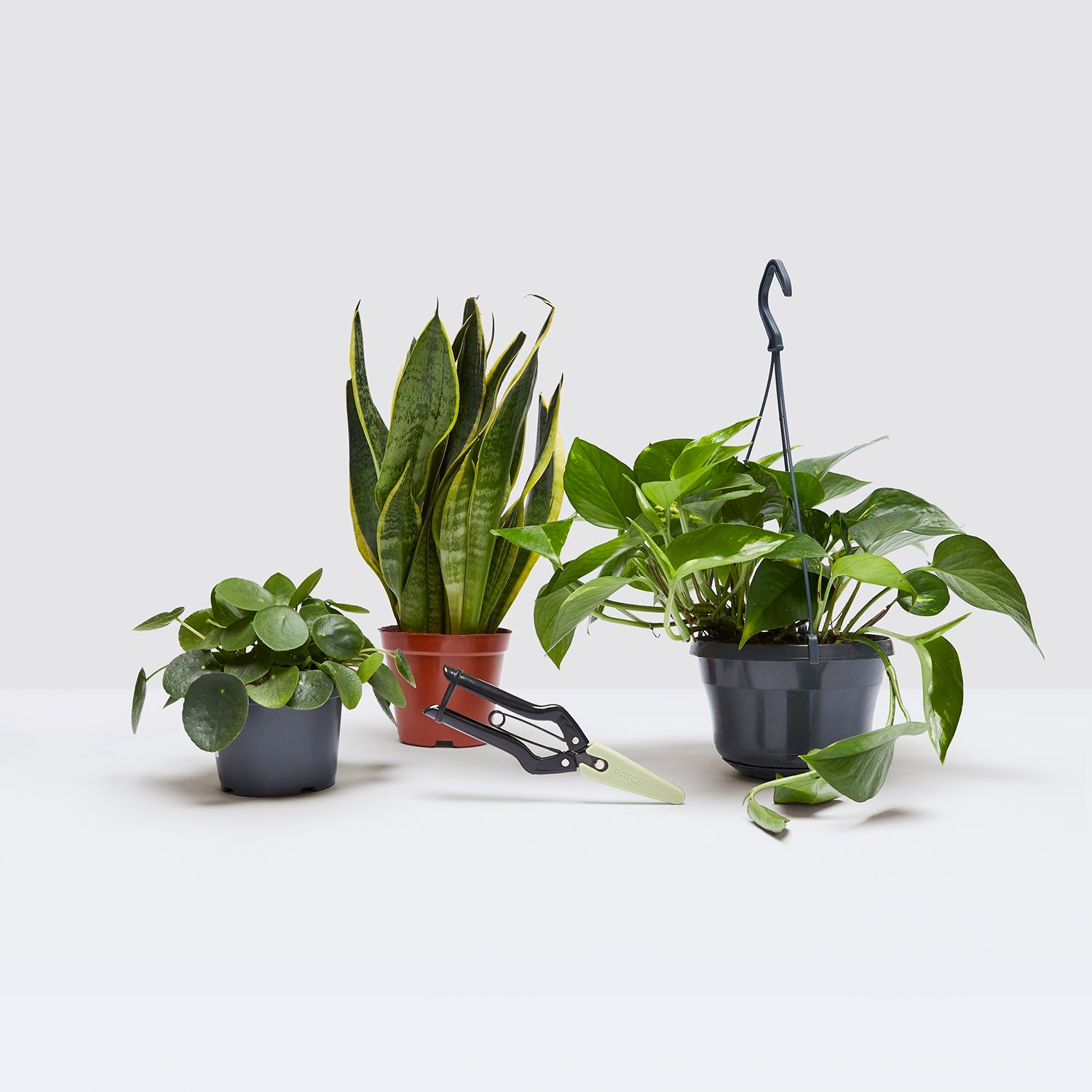 Propagation set
